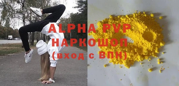 индика Бронницы